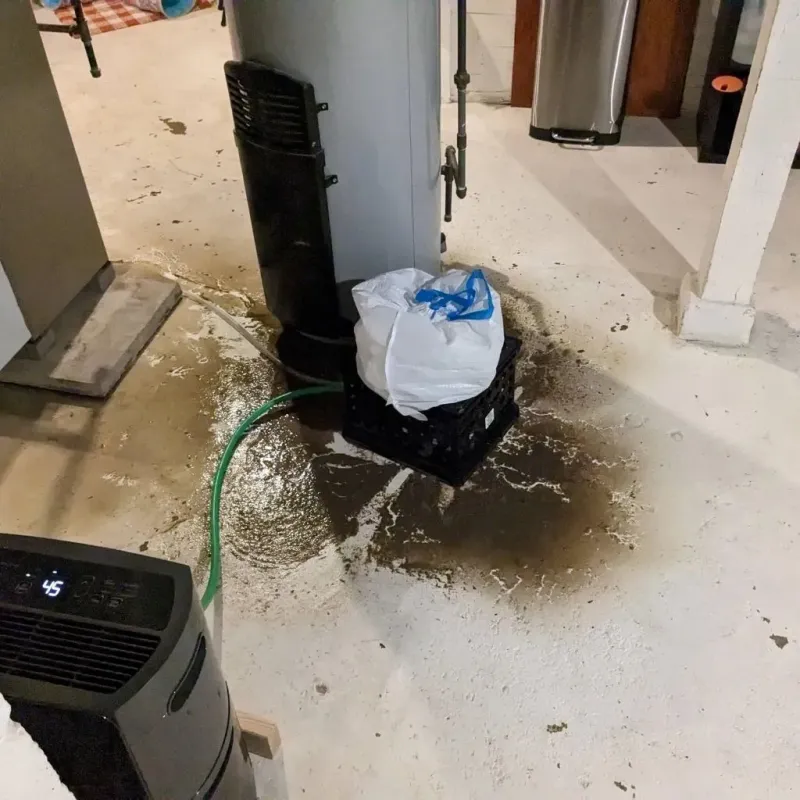 Sewage Backup Cleanup Service in Schriever, LA
